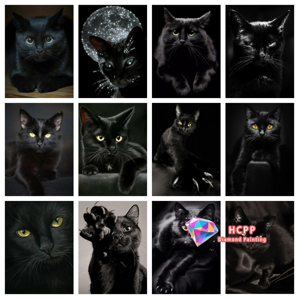 Art Craft Home - unframe Black Cat Animal Diamond Painting
