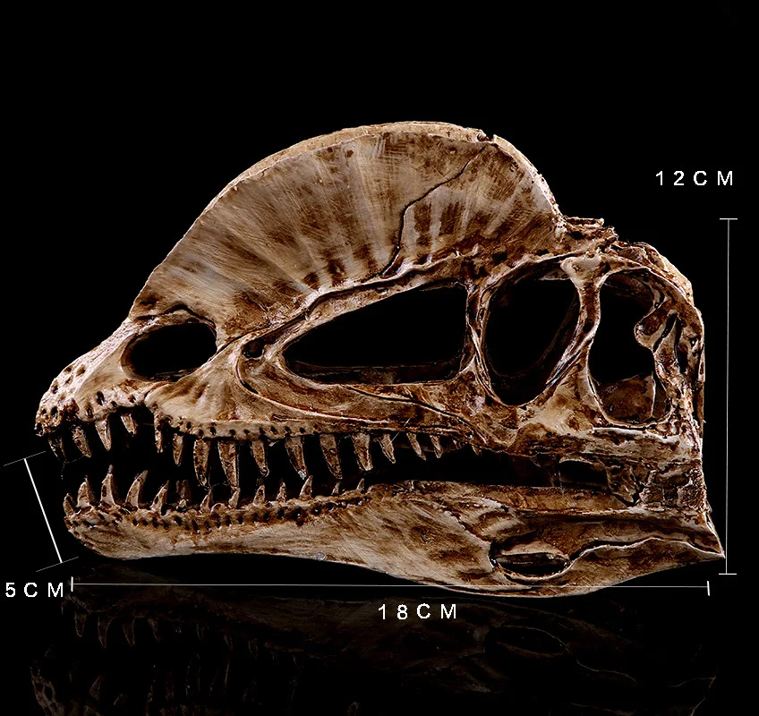 [MGT]Resin Craft Decoration Di - Dinosaur And Craft บทวิจารณ์และราคา