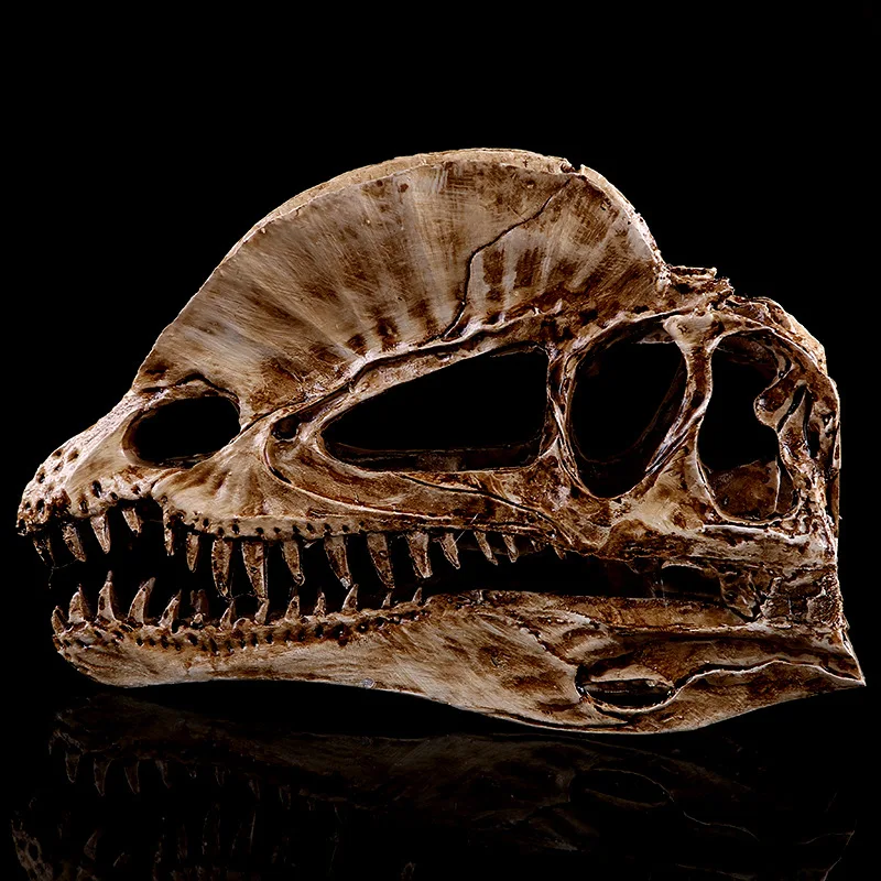 [MGT]Resin Craft Decoration Di - Dinosaur And Craft บทวิจารณ์และราคา