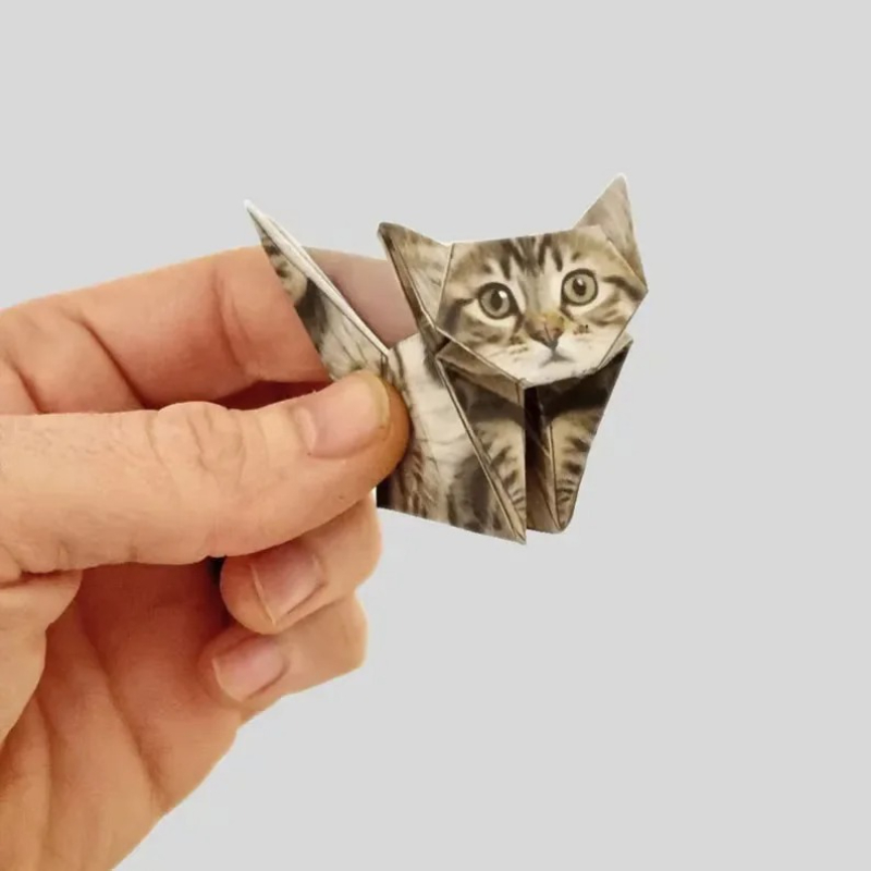 Creative DIY Origami Paper Set - Dinosaur And Craft บทวิจารณ์และราคา