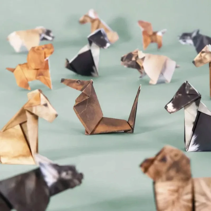 Creative DIY Origami Paper Set - Dinosaur And Craft บทวิจารณ์และราคา