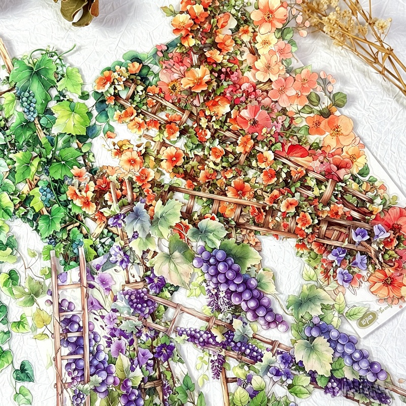 10Pcs PET Floral Trapezoid Sti - Art Craft Notebook บทวิจารณ์และราคา