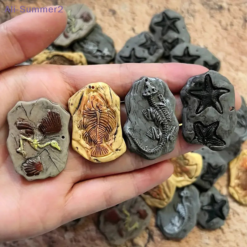 Mini Dinosaur Fossil Model Set - Dinosaur And Craft บทวิจารณ์และราคา