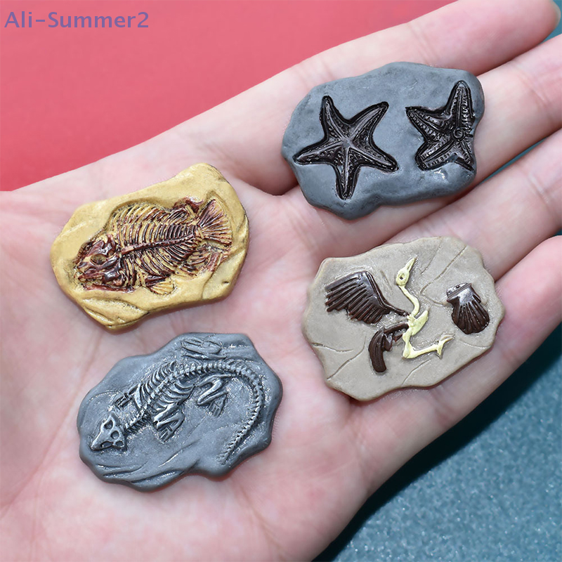 Mini Dinosaur Fossil Model Set - Dinosaur And Craft บทวิจารณ์และราคา