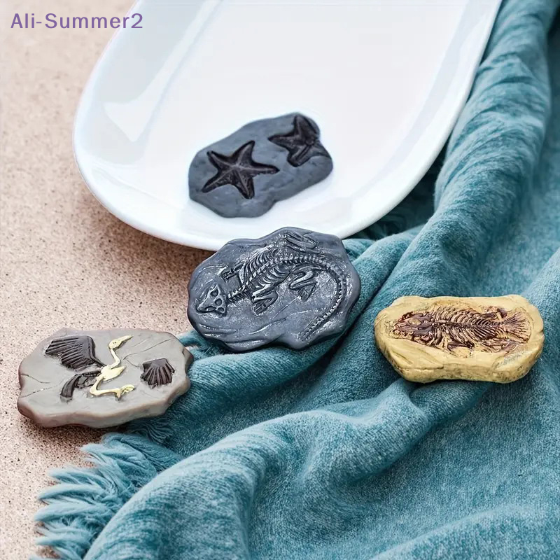 Mini Dinosaur Fossil Model Set - Dinosaur And Craft บทวิจารณ์และราคา