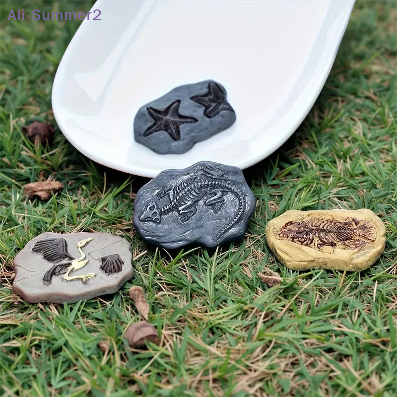 Mini Dinosaur Fossil Model Set - Dinosaur And Craft บทวิจารณ์และราคา